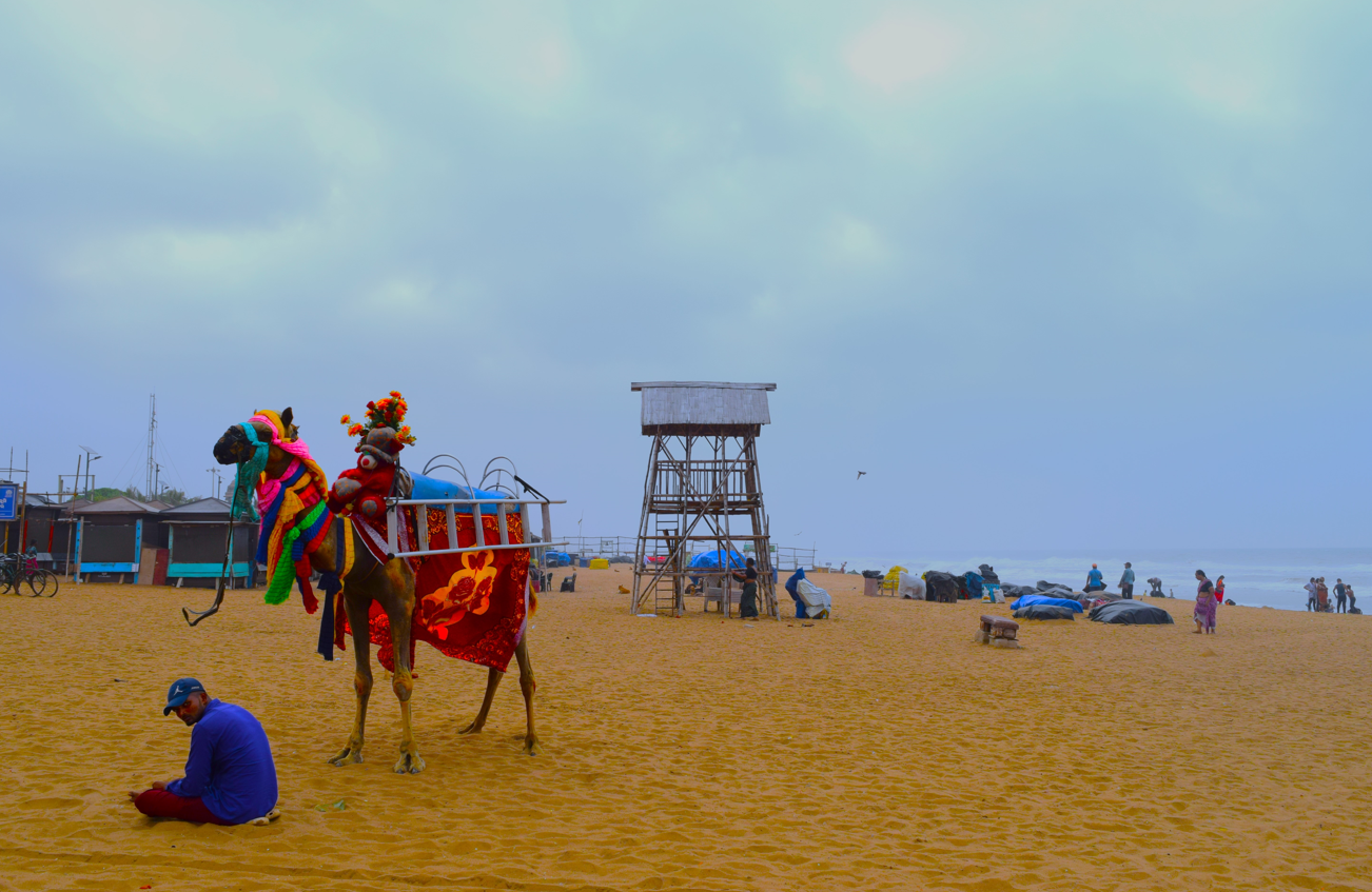 Life Guard Booth Swargadwar Sea Beach